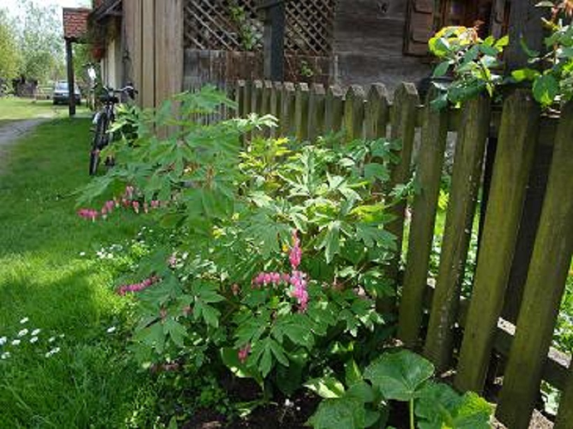 OTJELOTVORENI U LJUDSKOM OBLIČJU