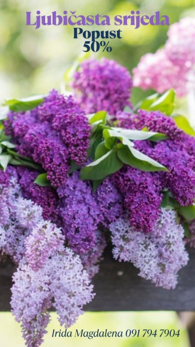 Konzultacije srijedom uz popust, cijelu 2026 g. 💜💜💜