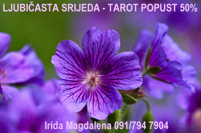 Konzultacije srijedom uz popust, cijelu 2026 g. 💜💜💜
