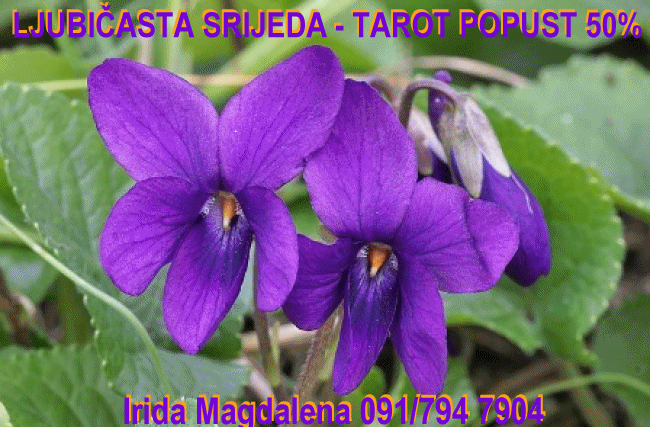 Konzultacije srijedom uz popust, cijelu 2026 g. 💜💜💜