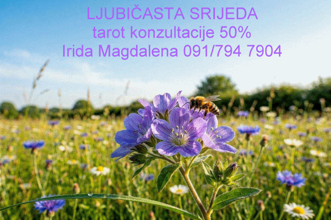 Konzultacije srijedom uz popust, cijelu 2026 g. 💜💜💜
