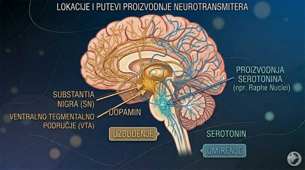 Biologija ovisnosti i prevare mozga