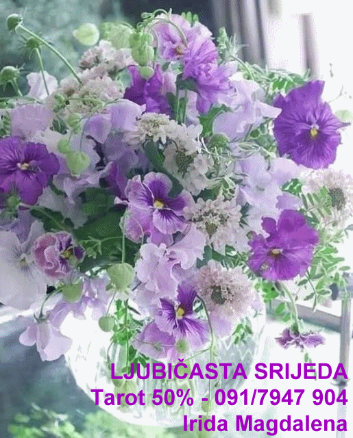 Konzultacije srijedom uz popust, cijelu 2026 g. 💜💜💜
