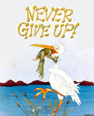 never give up