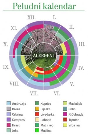 kalendar peludni