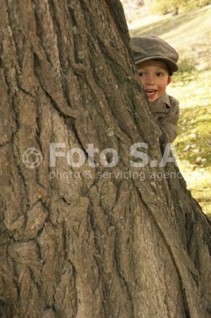dječak i stablo