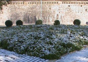 zadar