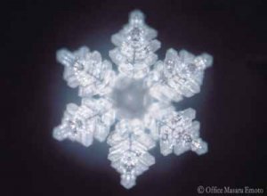 dr. emoto voda