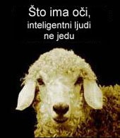 ovca poruka ljudima