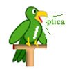 ptica