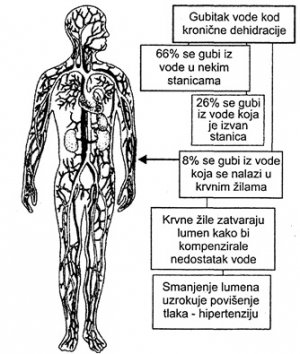 primanje hipertenzija vode visoki krvni tlak mehanizmom
