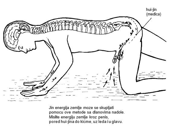 Kako staviti penis u vaginu