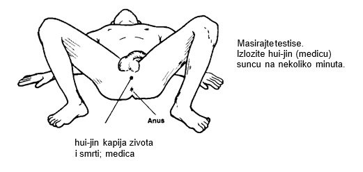 Staviti u vaginu penis kako Šta je