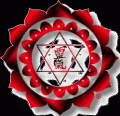 KARUNA REIKI