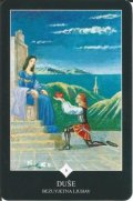 Transurfing - Karte sudbine: 48. (6 DUŠE - Bezuvjetna ljubav )