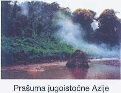 Poruka tjedna  od 5.1.  do  11.1.2026.