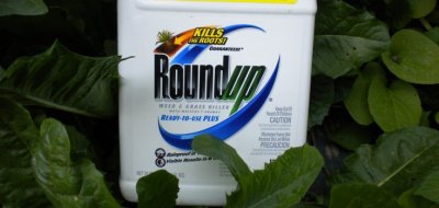 Otrovani profiti: Bayer razmatra stečaj Monsanta dok se gomilaju tužbe protiv Roundupa zbog raka.