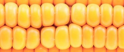 Kukuruz - klip pun ugljikohidrata, vitamina i minerala