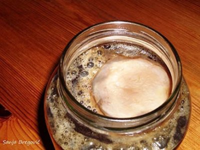 Kombucha - ljekoviti napitak