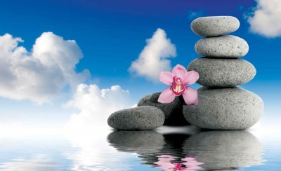 Pretraži magicus: ZEN PRIČA - Učiteljeva posjeta