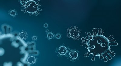 HANTA VIRUS I BIOLOŠKI TERORIZAM