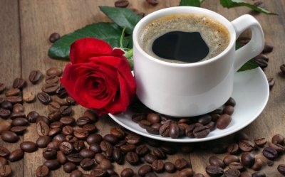 KAKO ĆEŠ ŽIVJETI ODLUČUJU TVOJE MISLI O IZOBILJU