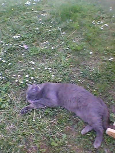 OTAC APSOLUTNI - POUKE O LJUBAZNOSTI