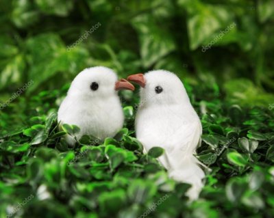 UPOZNAJ SVOJU SLOBODU