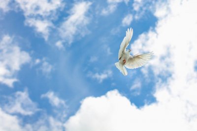 POVIJEST ČOVJEČANSTVA ( KADA ĆIŠTA BOŽANSKA DUŠA NAPUŠTA TIJELO)