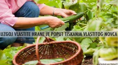 Hrvati kupuju sve manje hrane