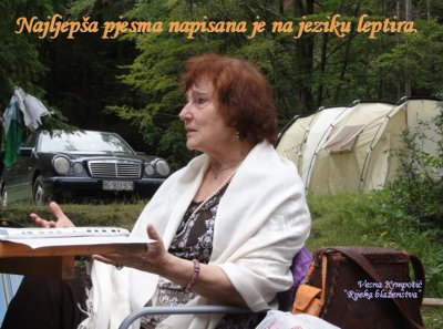 NE RAZUMIJEŠ?