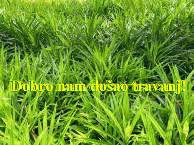 Dobro nam došao travanj (pučke izreke o vremenu)