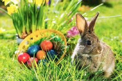 Kakve veze imaju zečić i jaja s Uskrsom?