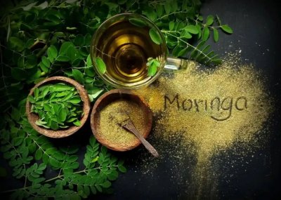 Biljka Moringa i Ayurveda