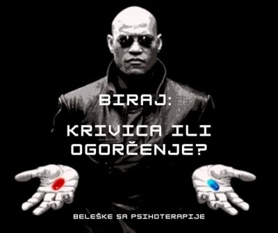 BIRAJ: KRIVICA ILI OGORČENJE?