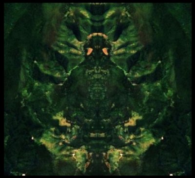 Čovjek Muha na Štrbačkom Buku