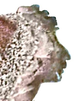 Glava diva na Glavatu