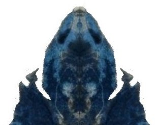 Plava Vila s Velebita