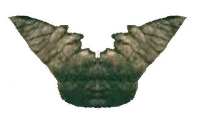 Smrt i moje druženje s njom