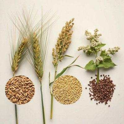 5 moćnih žitarica za kojima žudi vaše tijelo