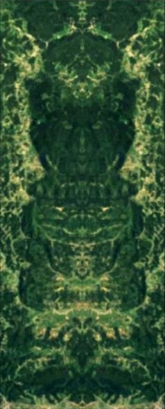 Totem vuka u Hrvatskoj