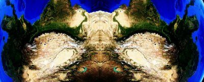 Džibril - Paun među melekima