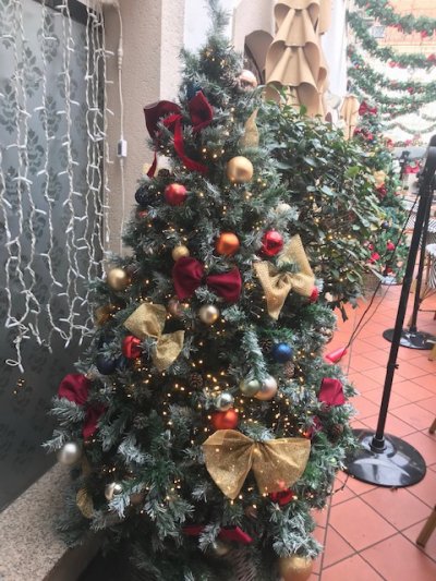 Novogodišnje odluke