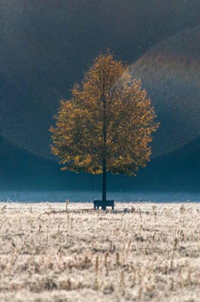 Ljudi ne žele sudjelovati u životu