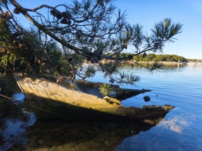 Koliko dugo mi treba da si oprostim?