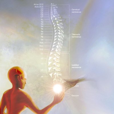 Zakon života - Večni projekat ljudskog božanstva