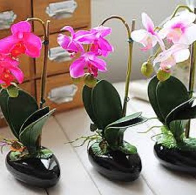 Dragi Magicus i svi Magicusi, sretna punoljetnost... 🧡