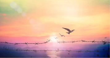 Meditacija osvještavanja