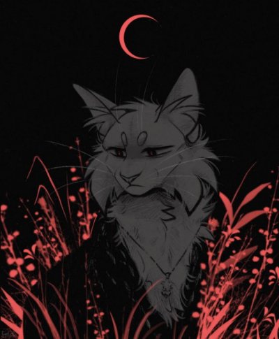 Sjena među laticama