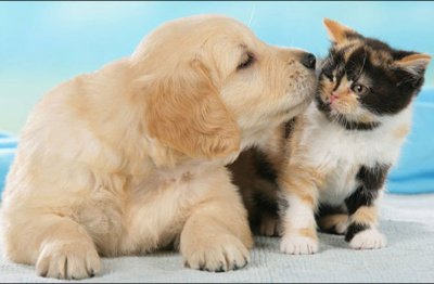 OTAC APSOLUTNI ( UMJETNE PROMJENE VRSTA)